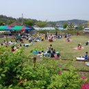 대파니 힐링팜 이미지