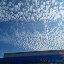 원광주유소 이미지