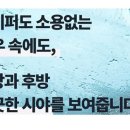 낙산유선 이미지