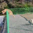 세영자원 이미지