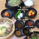 마산합포구 ⓗ-14 | 마산 숨은 맛집 첫 방문 후 단골이 된 곰탕 맛집 정직한나주곰탕