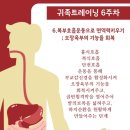 귀족미가 이미지