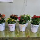 테이블39 이미지