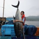 웅이포장 이미지