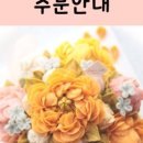 플로미flomi