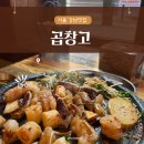 서울강남 가성비 곱창맛집 곱창고 강남점 한우곱창모듬구이후기