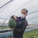 삼흥유통 이미지