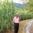 생태공원농장 이미지