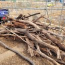 승현1농장 이미지