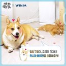 백호축산 한국경제