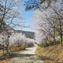 용현자연휴양림 이미지