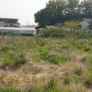 경기도 안성시 고삼면사무소 이미지