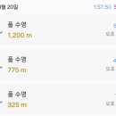 수영-304 이미지