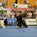 강서구-88 이미지