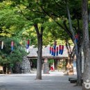 처인성꽃식물원 이미지