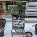 옴싸우스 이미지