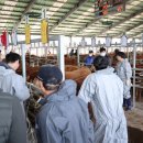 진주축산 이미지