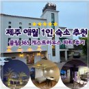 케이게스트하우스 | 제주 애월 오션뷰 1인 숙소 제주 끌림365 애월 게스트하우스 파티 후기