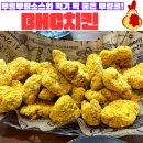 비에이치씨(BHC)신월성점 | [내돈내산맛집] 달서구월성동 &#34;BHC치킨&#34;(feat. 뿌링클, 핫후라이드)