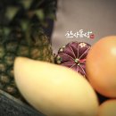 한상돌상한상 이미지