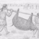 고기축제 이미지