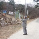 한국산양산삼