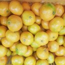 귤하우스 이미지