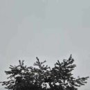 모나캠핑파크 가평점 이미지