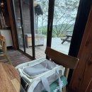 카페더크레마 | [강릉 애견동반 카페] 크레마코스타 강릉점 후기🐶☕ (조용한 감성카페, 푸딩 맛집)