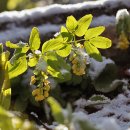 한계령의아침 이미지