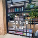 송도 낮잠카페추천 놀숲, 직장인 점심시간 1시간 이용후기 (삶의질 상승)