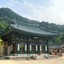 징효대사보인탑비 | 사자산 법흥사, 적멸보궁 그리고 소나무 숲