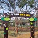반려인 이미지