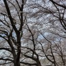 월명1길 이미지