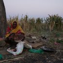 두라농장 이미지