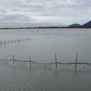 신호초등학교 이미지