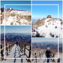 무인다방 전북무주점 | 눈 온 다음 날 떠난 무주 덕유산 산행 곤도라 예약부터 실시간 CCTV 확인 팁까지