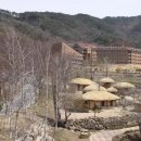 한티가는길 이미지