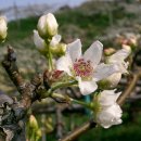 배나무한의원 이미지