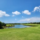 노바골프 이미지