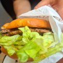 맥시킨치킨(사하점) | 맥도날드 맥앤치즈 비프 vs 치킨 뭐가 더 맛있을까? 앱쿠폰으로 알차게 즐겼어요.