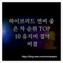 삼백주유소 | 하이브리드 연비 좋은 차 순위 TOP 10 유지비 절약 비결