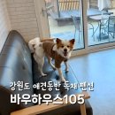 비체하우스펜션 B동 | 강원도 애견동반 독채펜션 바우하우스105 내돈내산 만족