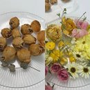 파주부케말리기 | 5년 전 결혼 부케로 만든 하바리움🫧 유리돔 리폼 ‘골든 메모리 박스’ 제작 후기