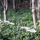 산책 북스테이 이미지