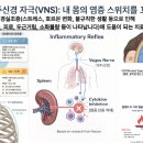 (주)바이오센스크리에티브 | 몸의 막힌 ‘혈’을 뚫어야 바이오리듬이 산다! (태반 약침의 효능)