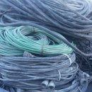 태광고철 이미지