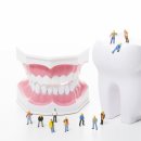 서울편한안치과의원 이미지