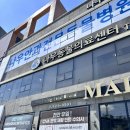 나우동물의료센터 | 천안동물병원 나우동물의료센터 백석점에서 슬개골검진과 재활치료받고왔어요