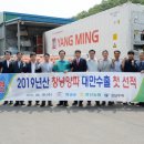 제주영산마늘